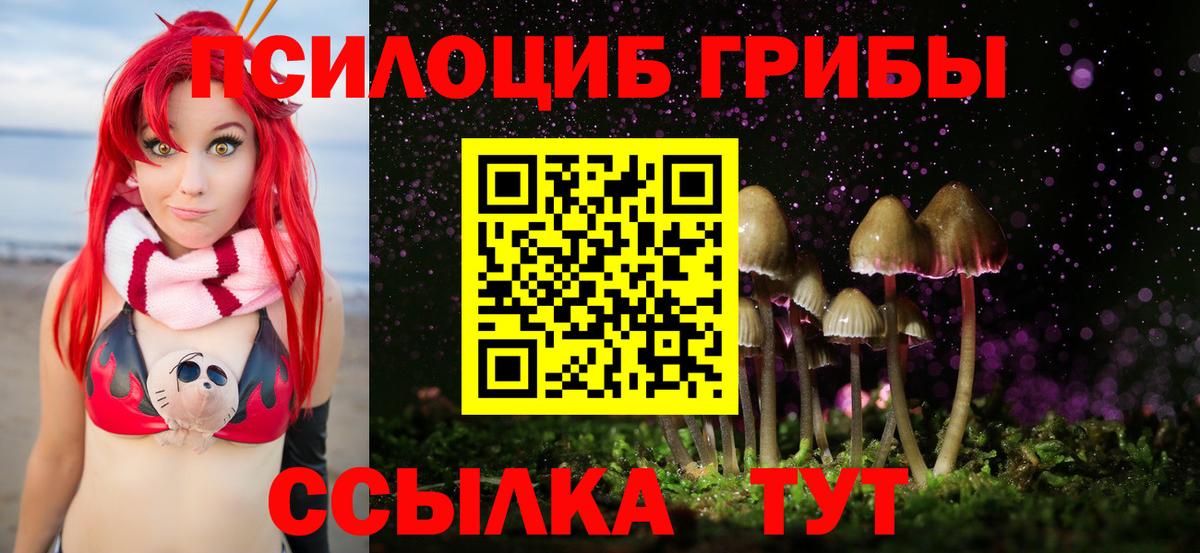 Псилоцибиновые грибы мухоморы  Вход с VPN  Бийск 