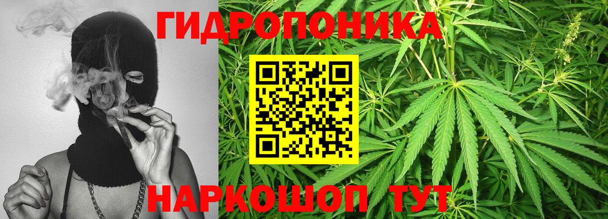 Бошки марихуана индика Бийск